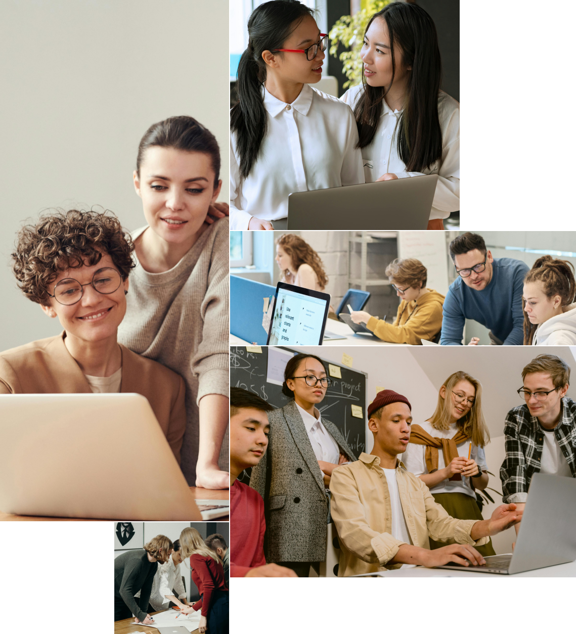 Our solution allows you to