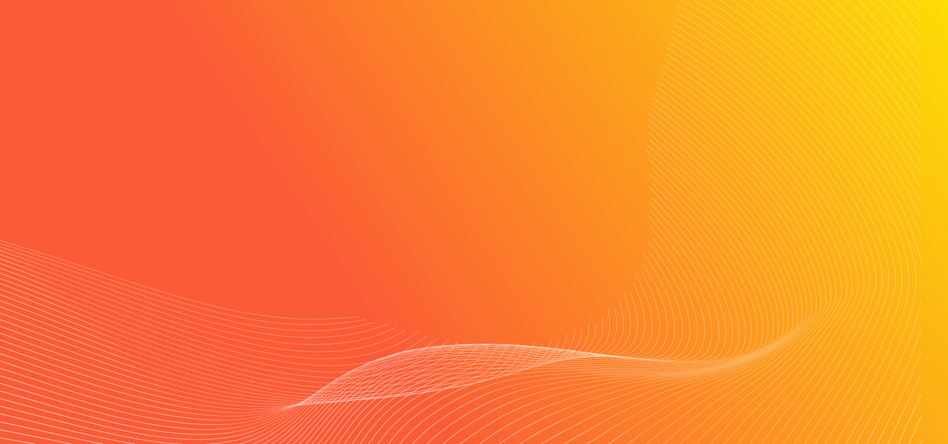 Your Digital Transformation Partner